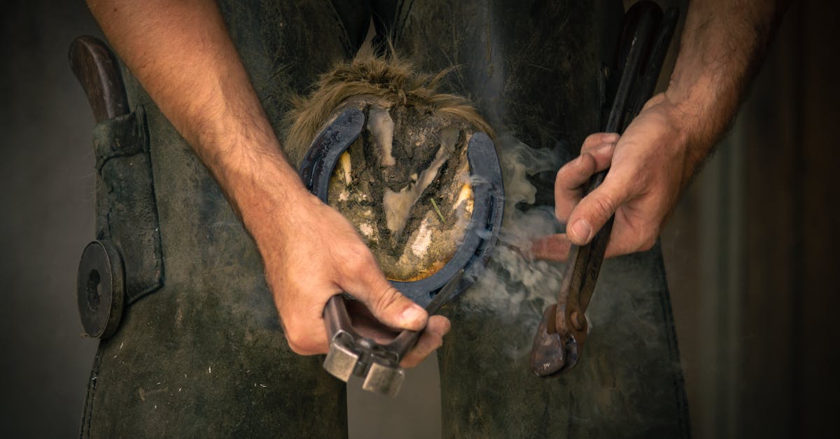 Pourquoi les chevaux ont-ils besoin de fers à cheval ?
