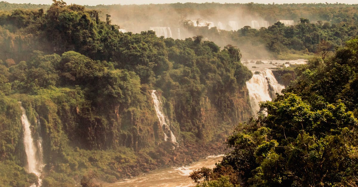 Pourquoi la forêt amazonienne est-elle essentielle pour nous ?