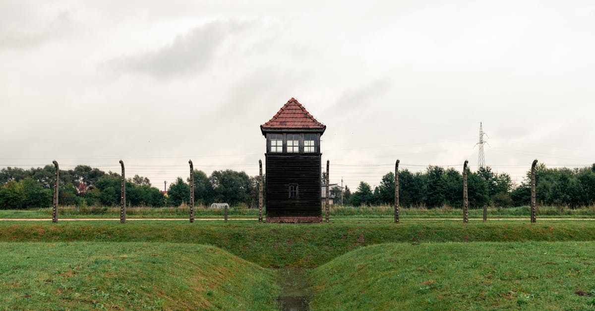 Pourquoi l'Allemagne a-t-elle perdu la Seconde Guerre mondiale ?