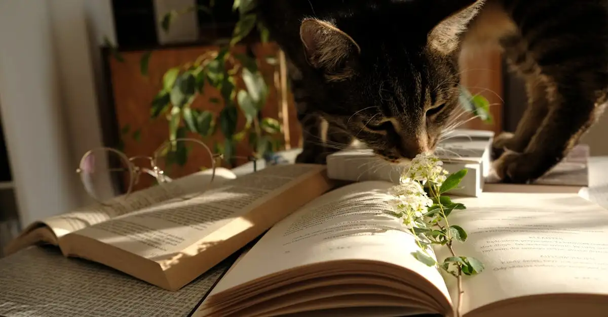 Comment les chercheurs analysent-ils le comportement des chats ?