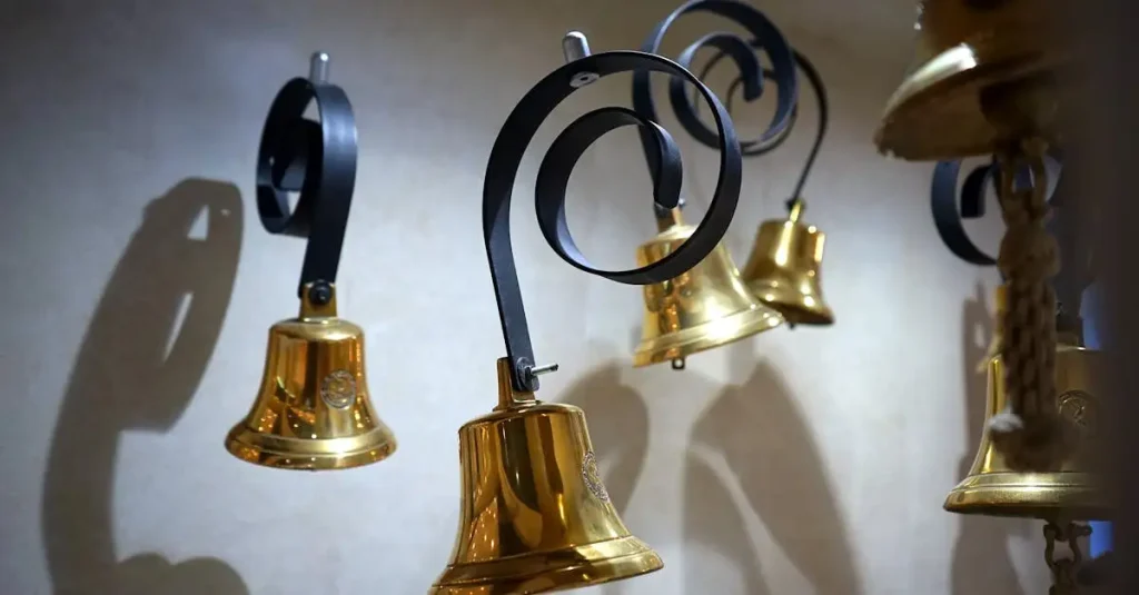 Pourquoi les corbeaux aiment-ils les objets brillants ?