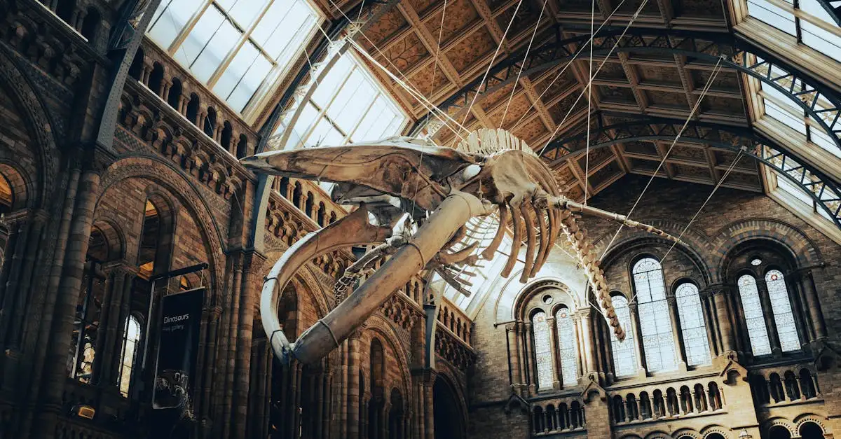 Où se trouve le Muséum d'Histoire Naturelle à Londres ?