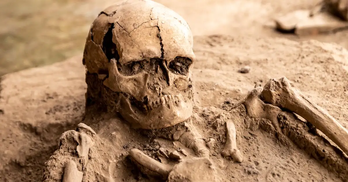 Que disent les empreintes dentaires fossilisées et les os ?