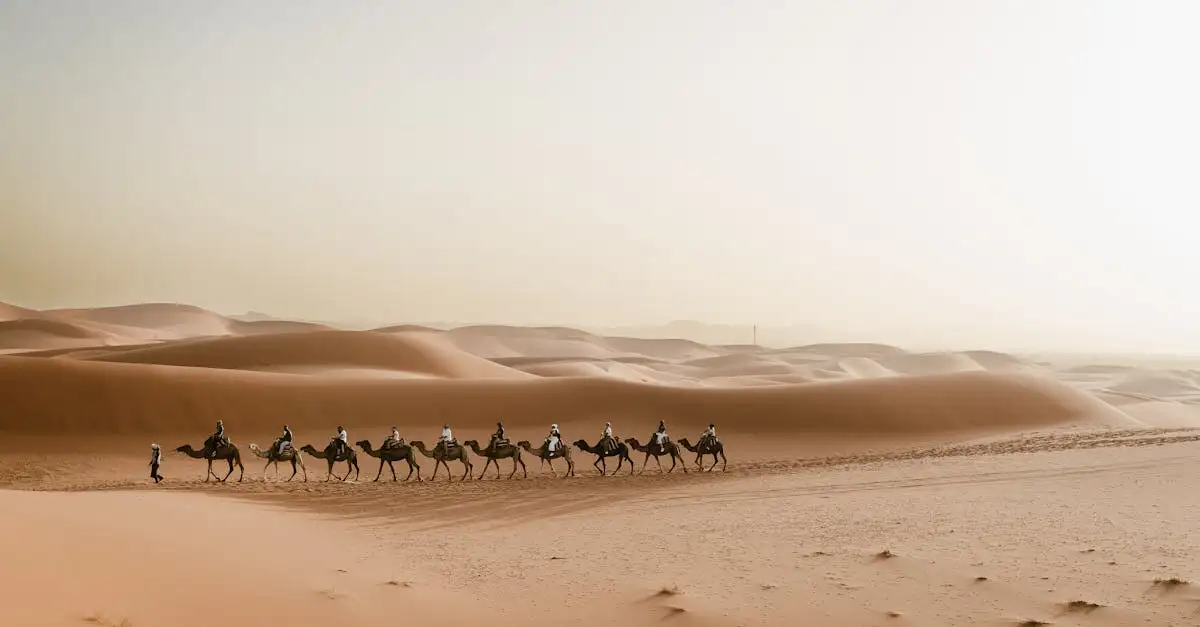 Quelle est la plus grande désert d'Afrique ? Découvrez-le !