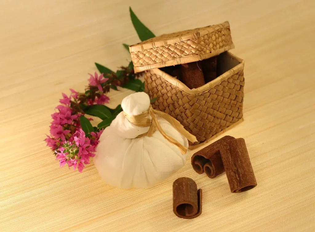 Comment l'Ayurveda a-t-il transformé la médecine moderne ?