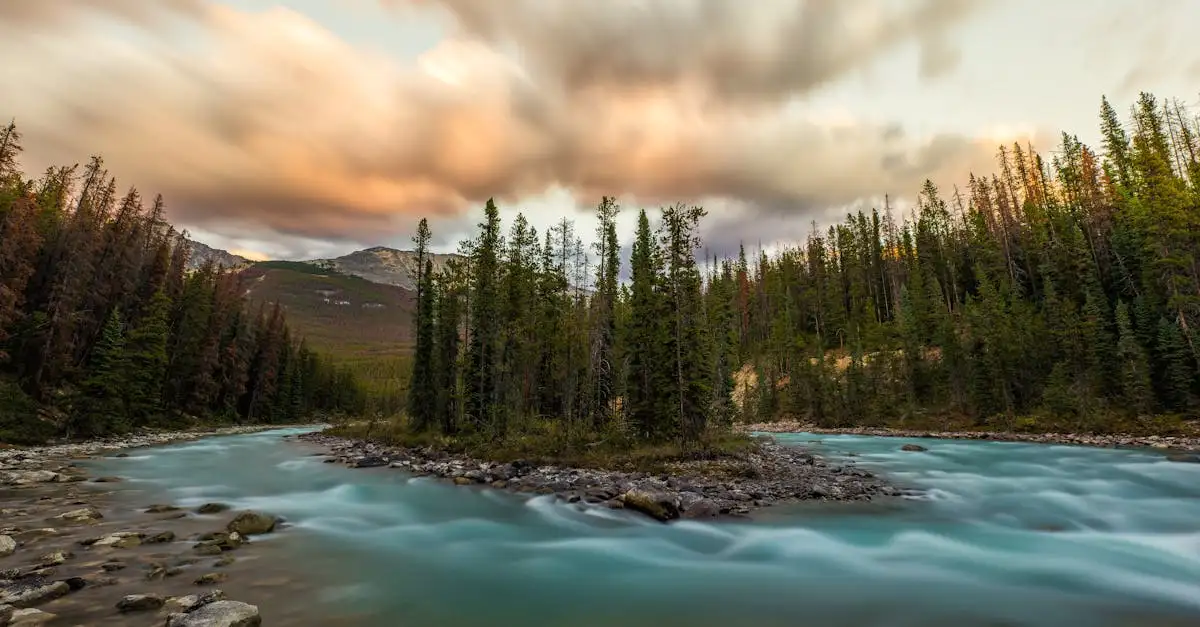 Pourquoi le parc national de Jasper est-il célèbre pour ses glaciers ?