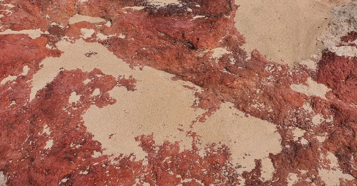 Quel désert australien est connu pour son sable rouge ?