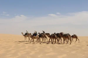 Quelle est la capitale du Tchad et son importance historique ?