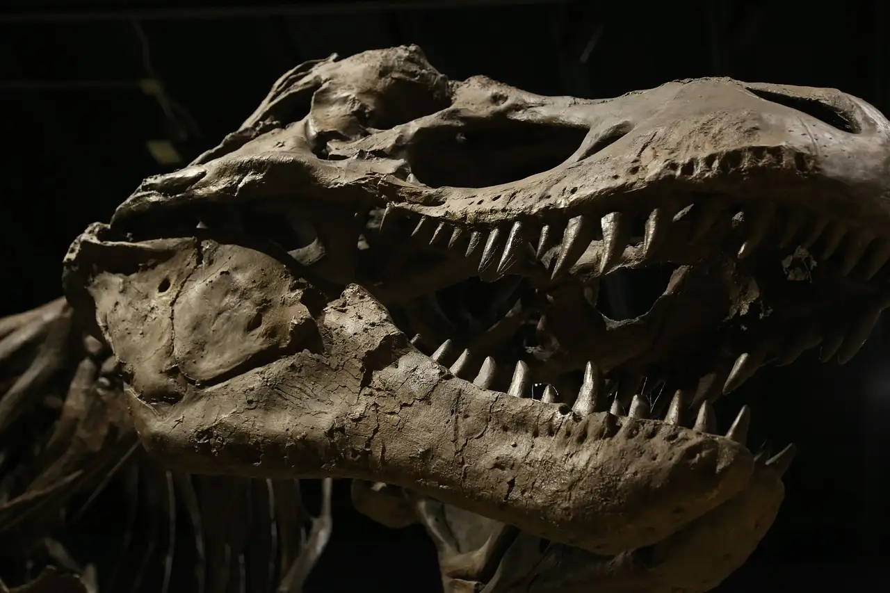 Quelles sont les causes de l'extinction massive du Trias ?