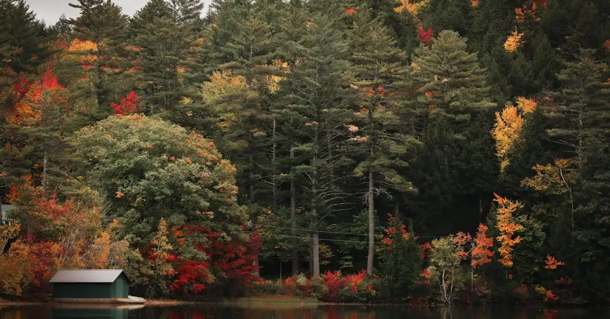 Quelles sont les portes vers l'autre monde à découvrir ?