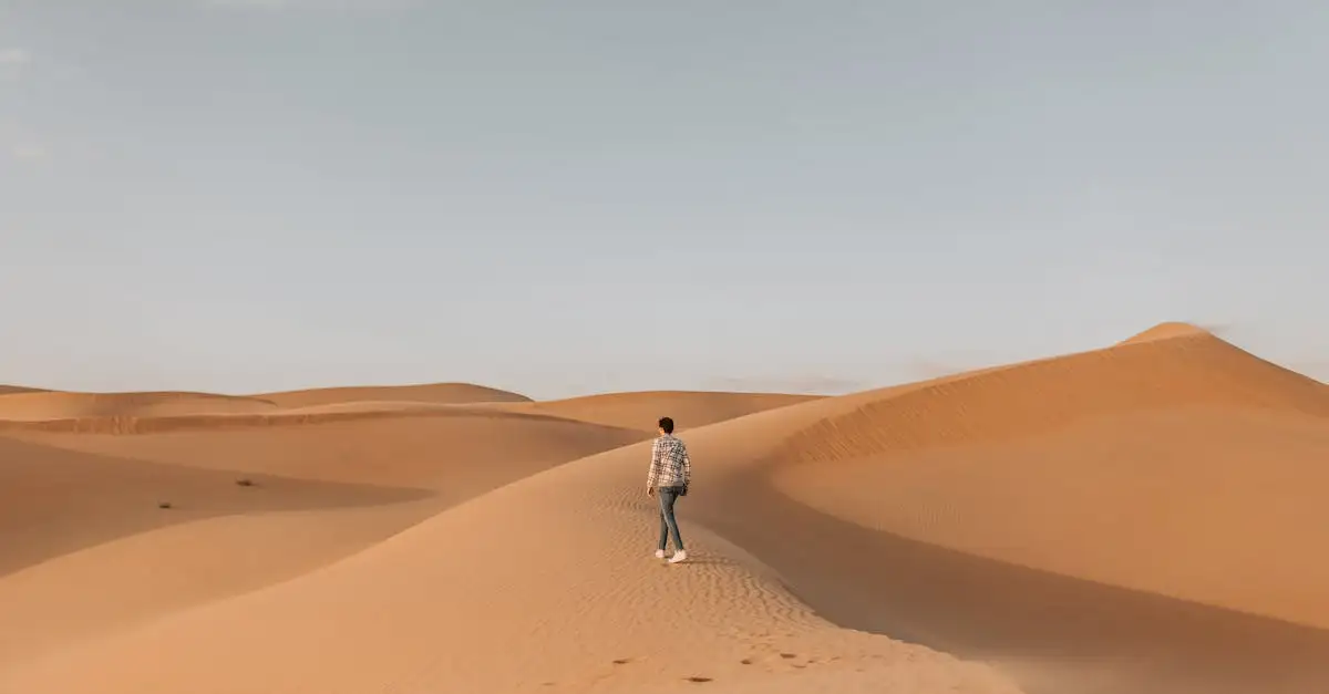 Quel est le désert Rub' al Khali en Arabie Saoudite ?