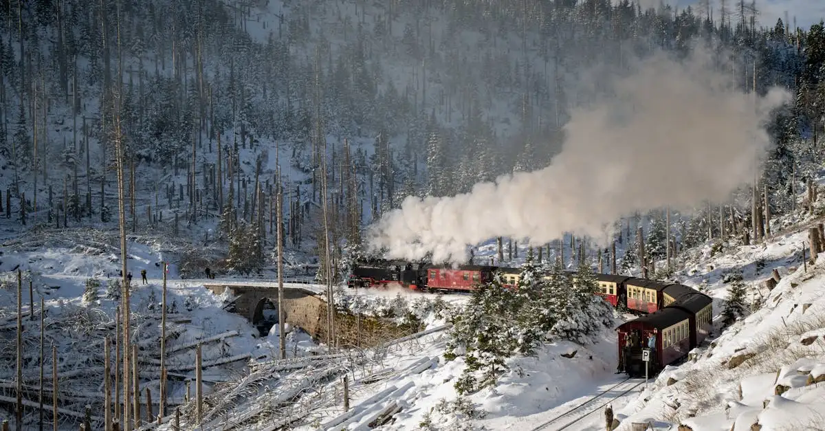 La locomotive à vapeur : une révolution pour le transport ?
