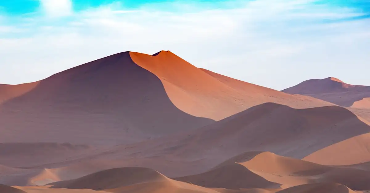 Où découvrir les célèbres dunes du désert de Namib ?