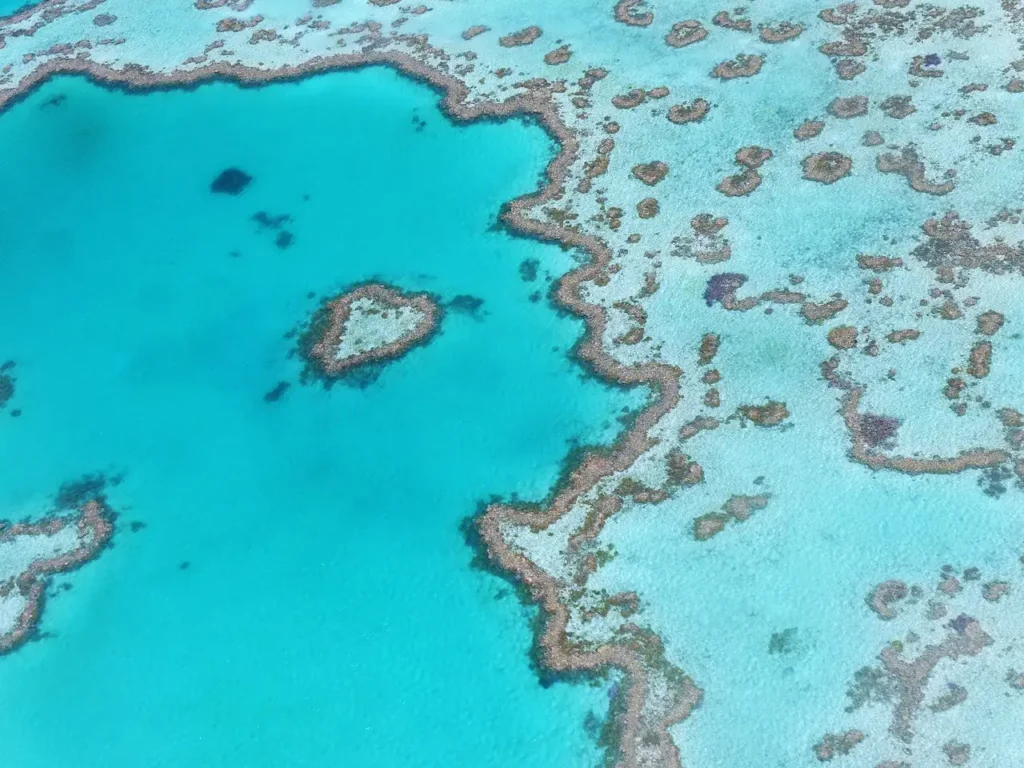 Pourquoi la Grande Barrière de Corail rétrécit-elle ?