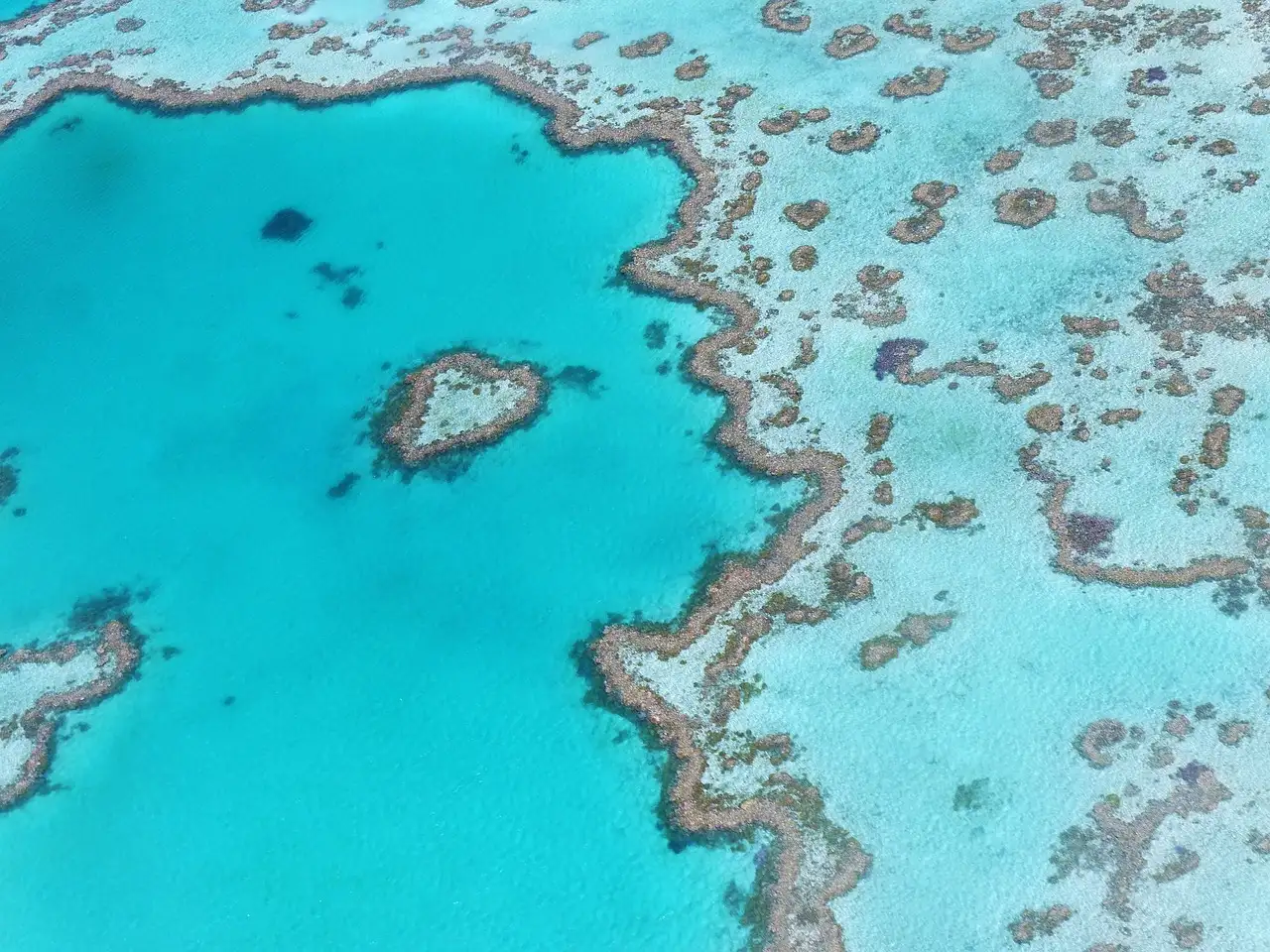 Pourquoi la Grande Barrière de Corail rétrécit-elle ?