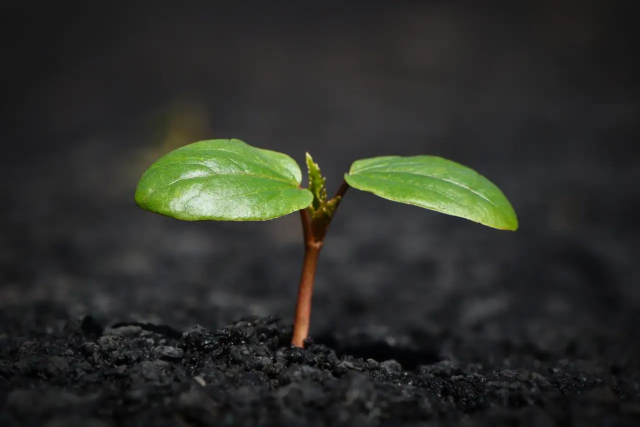 Quelle déesse incarne la terre et la mère nature ?