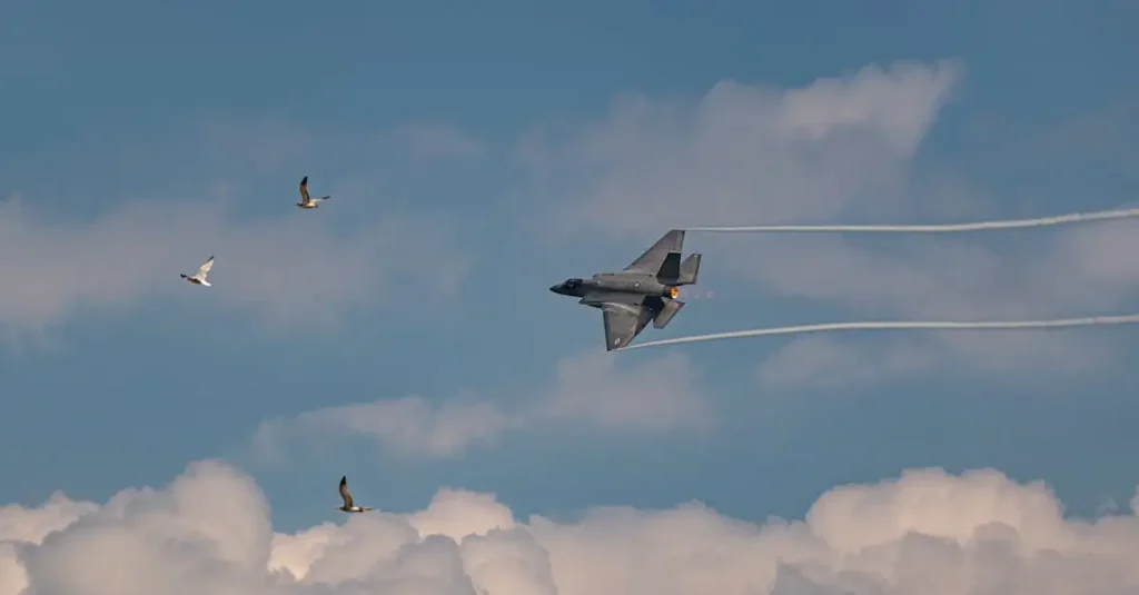 Quels oiseaux égalent la vitesse du martinet en vol ?
