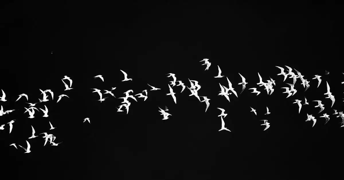 Quels oiseaux égalent la vitesse du martinet en vol ?