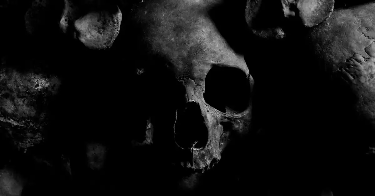 Qui est Dhumavati, la déesse guerrière de la mort ?