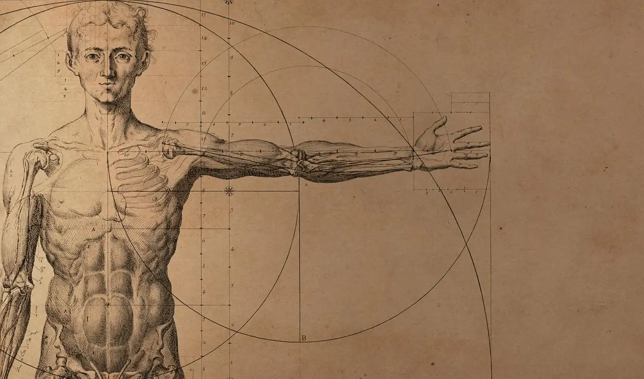 Comment les études de Vésale ont-elles transformé la médecine ?