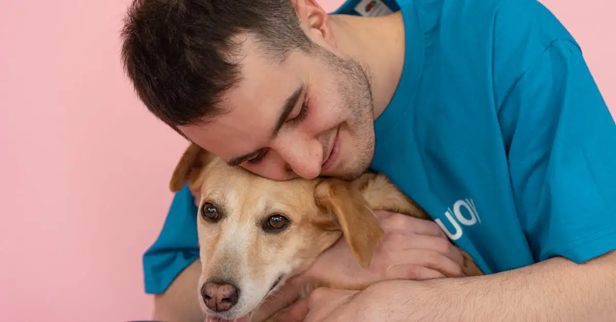 Comment se passe l'adoption de chiens par des sauvetages ?