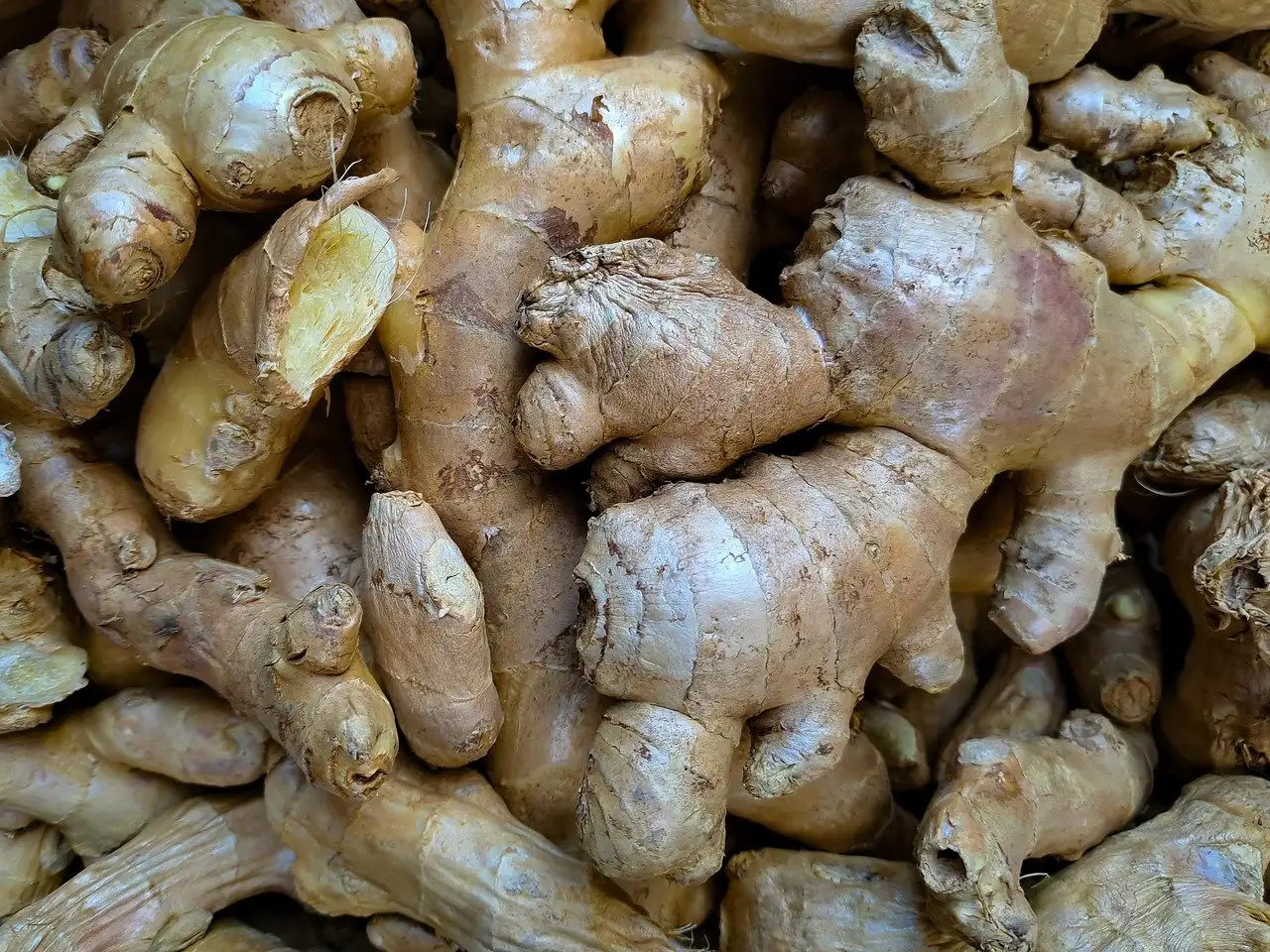 Le thé au gingembre : un remède efficace contre le rhume ?