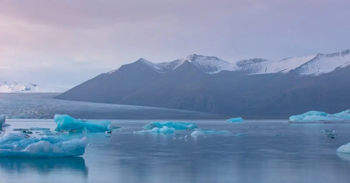 Où voir des glaciers dans le parc national du Groenland de l'Est ?