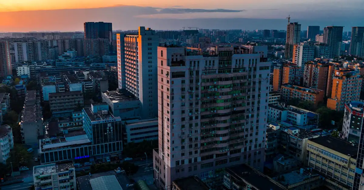 Pourquoi Chengdu est-elle la meilleure ville pour les pandas ?