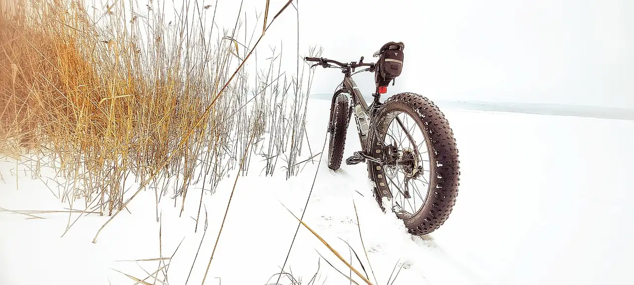 Quel est le poids moyen d'un fatbike ?