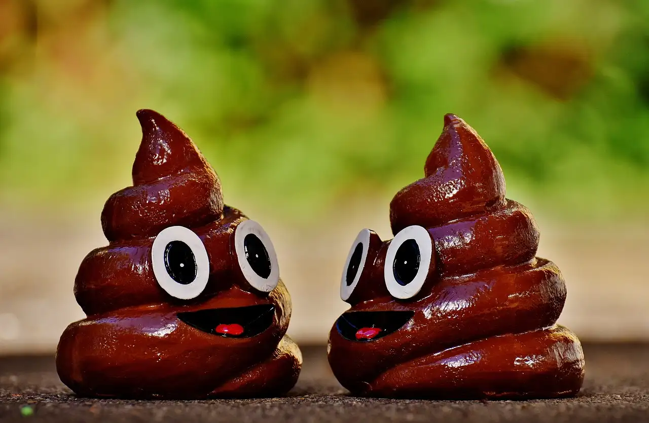 Quelle évacuation éviter pour garantir votre sécurité ?