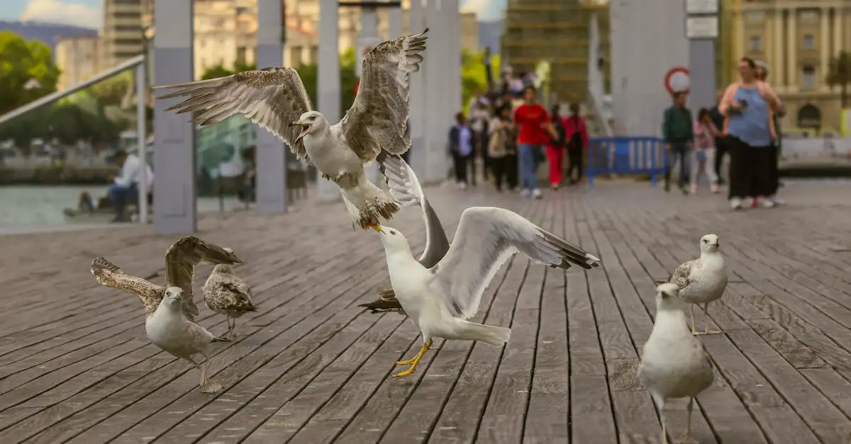 Quels oiseaux jouent un rôle clé dans la dispersion des graines ?