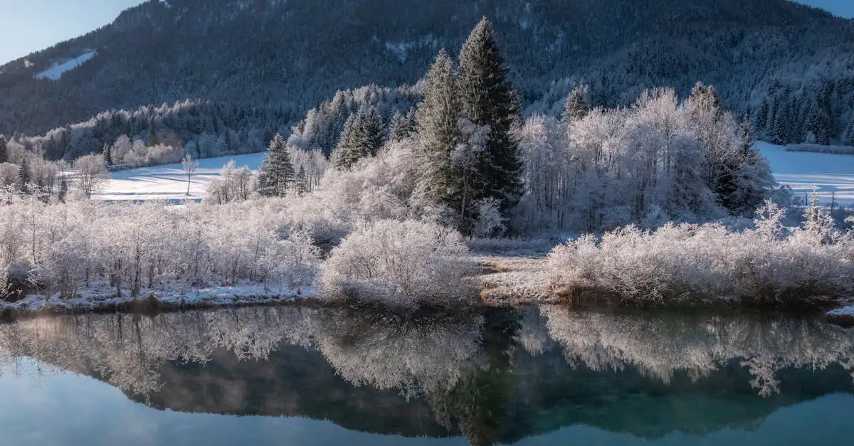 Qu'est-ce qui rend le parc national d'Urho Kekkonen si unique ?