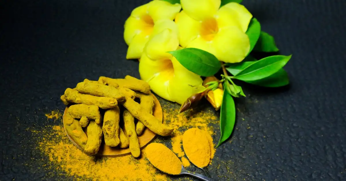 Curcuma : Quels sont ses bienfaits pour la santé ?
