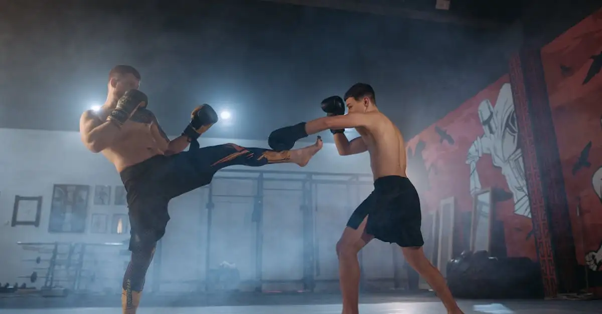 Quel sport de combat est fait pour vous ? Découvrez-le ici !