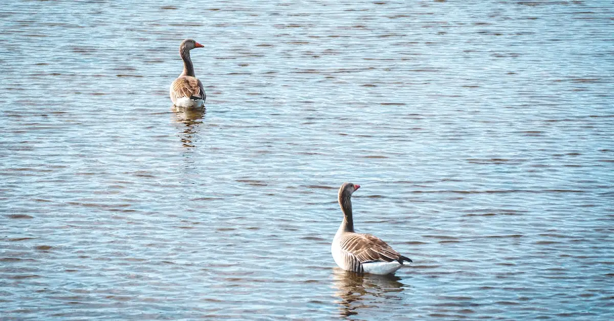 Quelle région abrite le parc national du lac Nakuru au Kenya ?