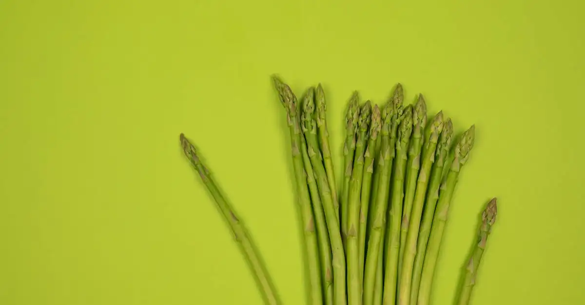 Quelle vitamine choisir pour combattre la fatigue extrême ?
