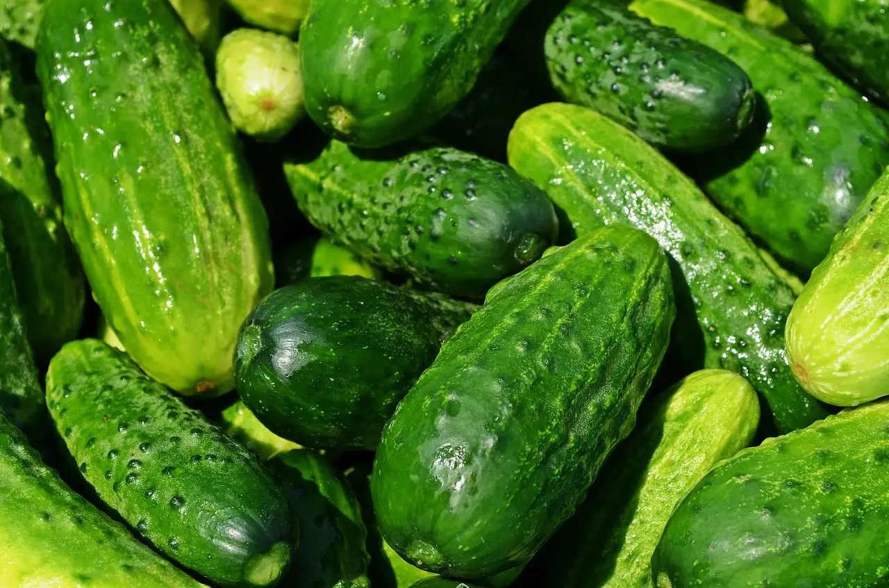 Quels légumes accompagner avec un plat de poisson ?