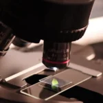 Comment la microscopie a-t-elle révolutionné la médecine ?