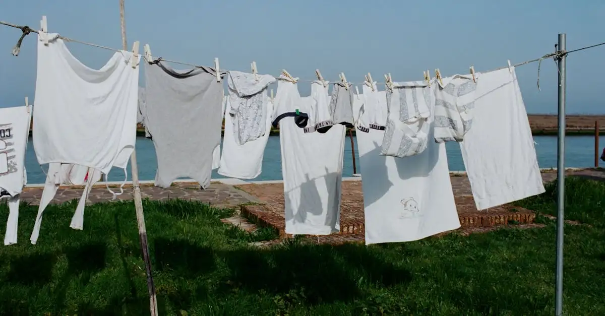 Comment les Égyptiens lavent-ils leurs vêtements dans le Nil ?