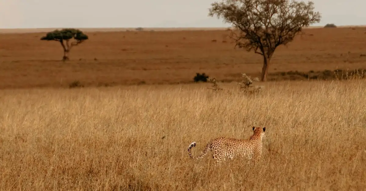 Quel est le plus grand parc national d'Afrique ?