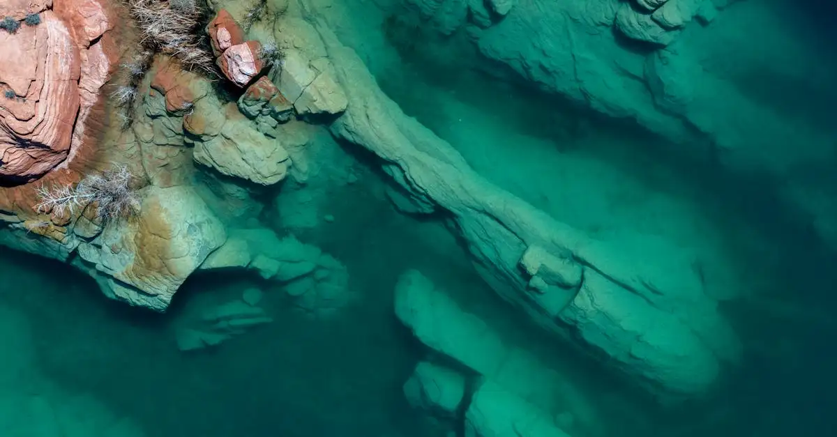 Quel impact l'ouragan Harvey a-t-il eu sur les USA en 2017 ?