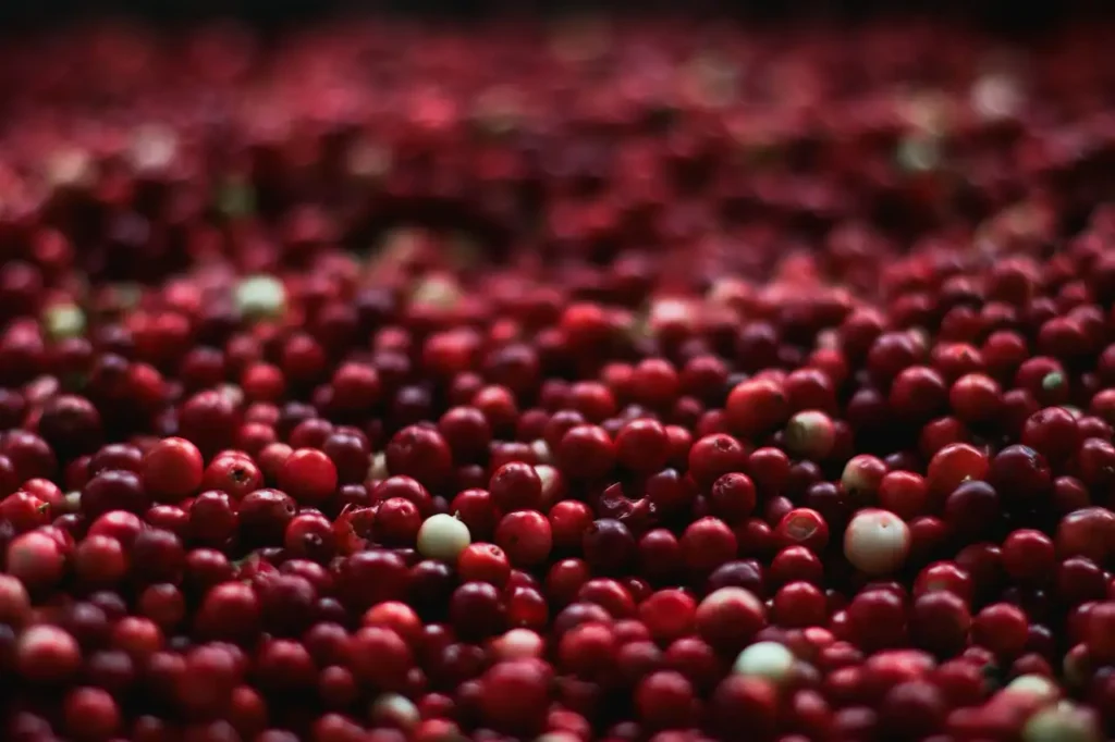 Quelles pilules de cranberry choisir pour une infection urinaire ?