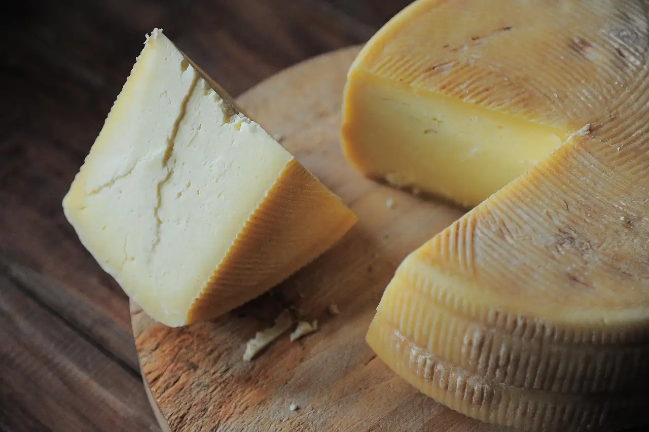 Quels fromages sont sûrs pendant la grossesse ? Découvrez ici !