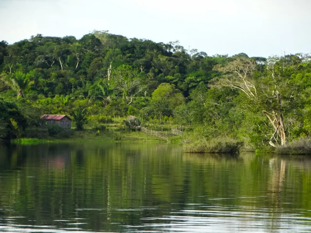 Quels pays sont traversés par le fleuve Amazone ?