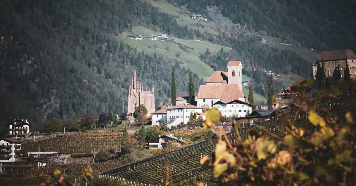 Quel vin choisir pour accompagner une fondue de viande ?
